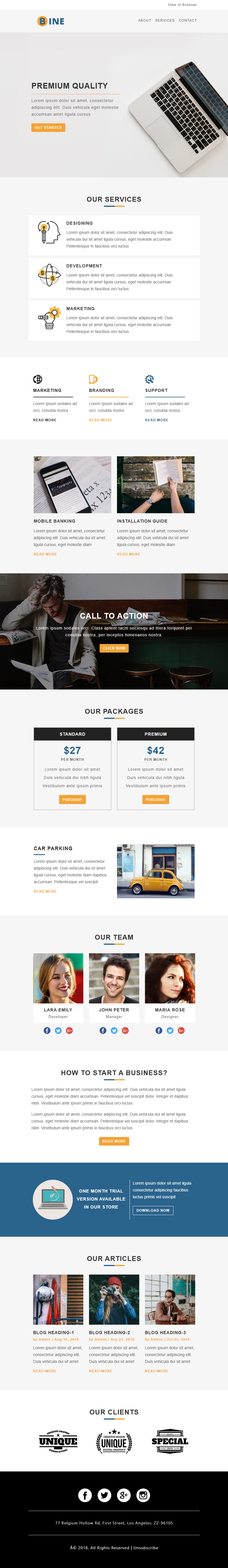 Bine Business template preview
