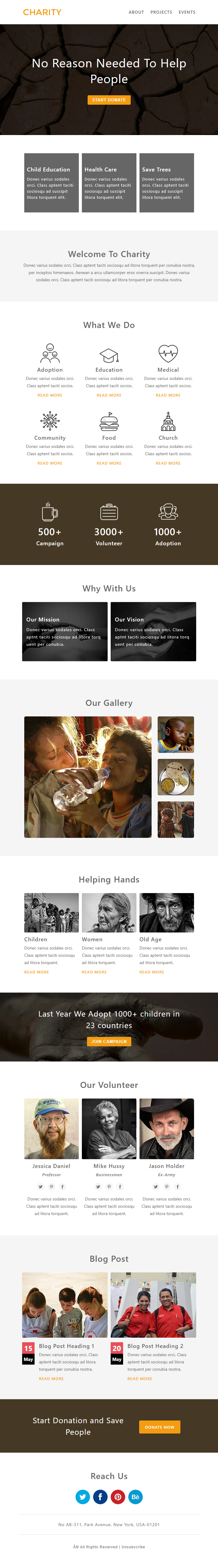 Charity 2 Template preview