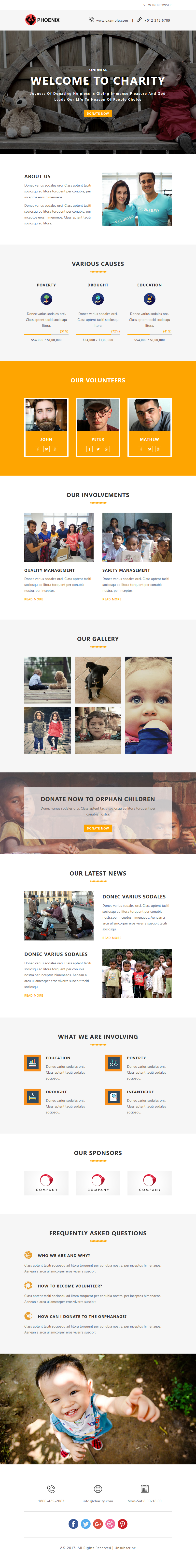 Charity template preview